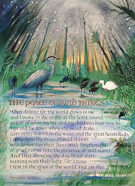 The Peace of Wild Things