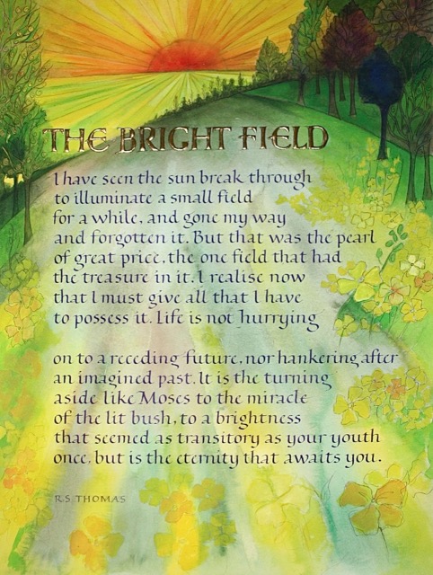 The Bright Field